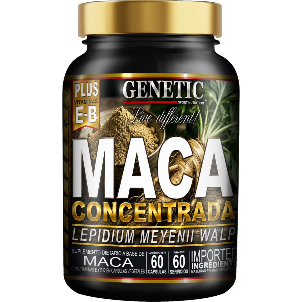 Maca Concentrada Genetic